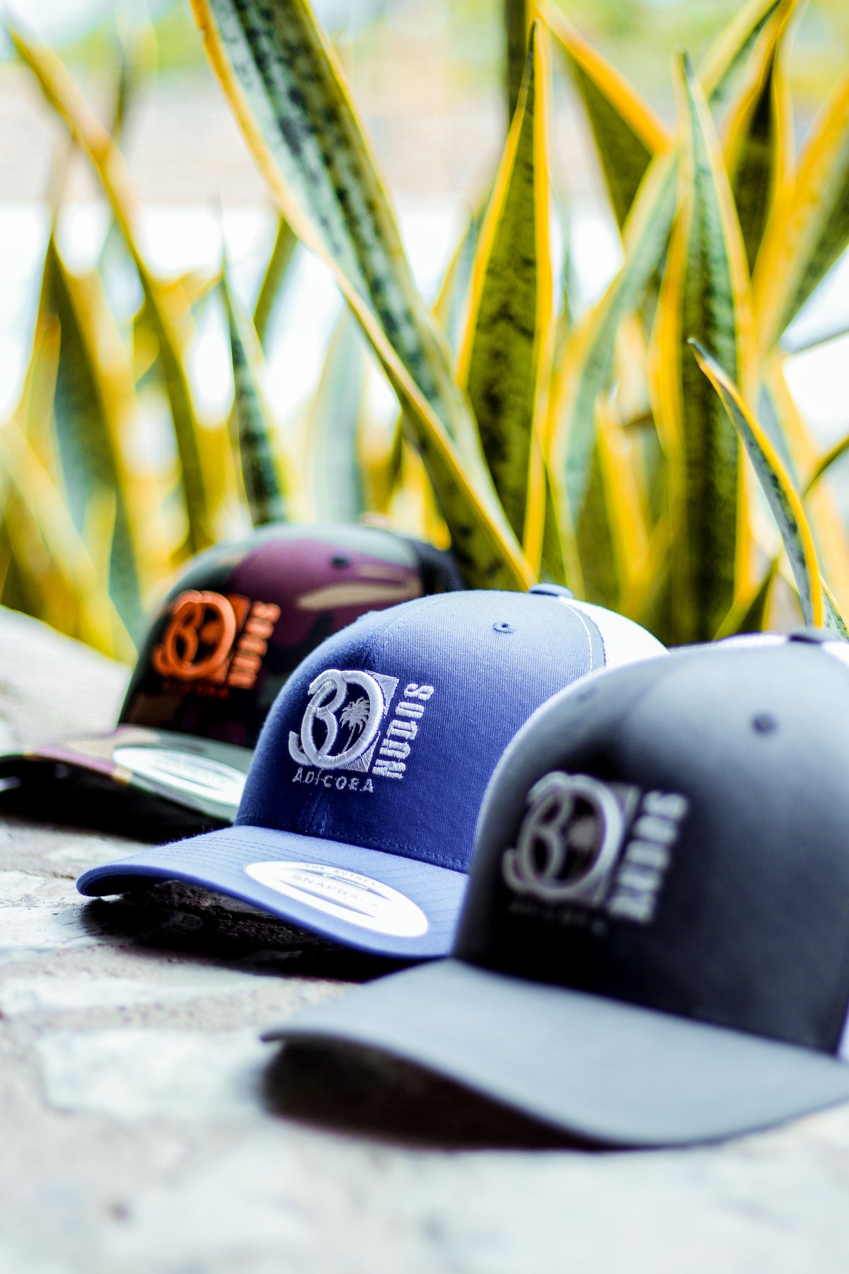 Cotton Twill Bucket Hat — LIFETIME