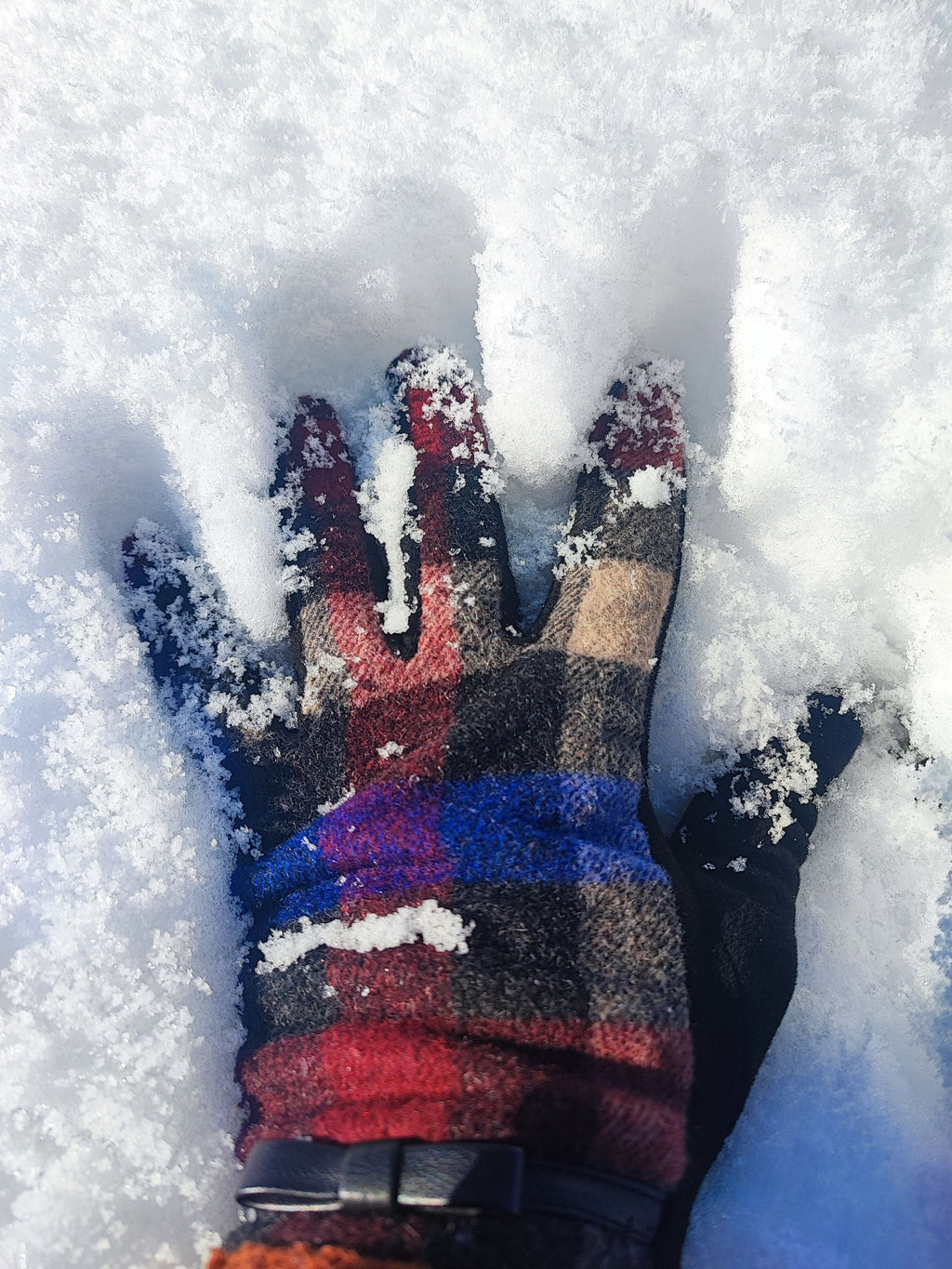 Ribbed Knit Touchscreen Gloves — LIFETIME